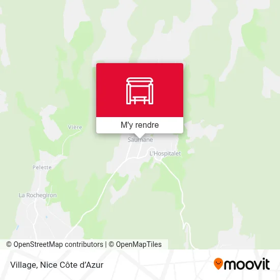 Village plan