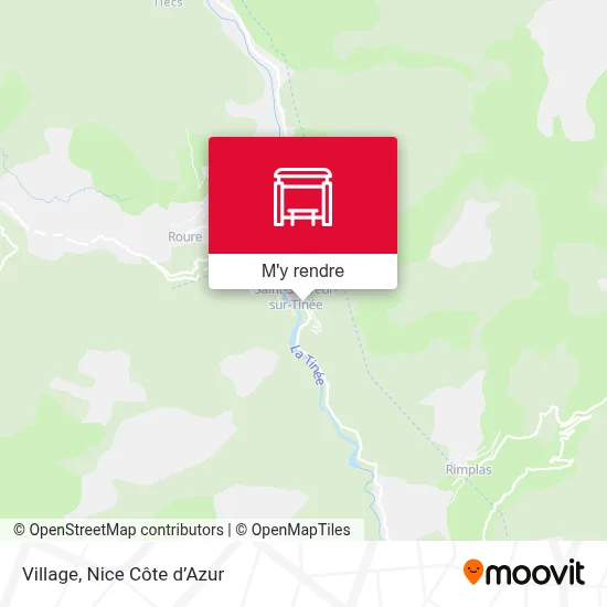 Village plan