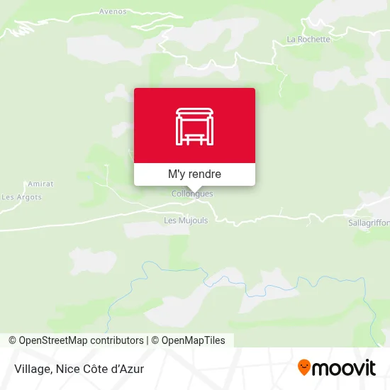 Village plan