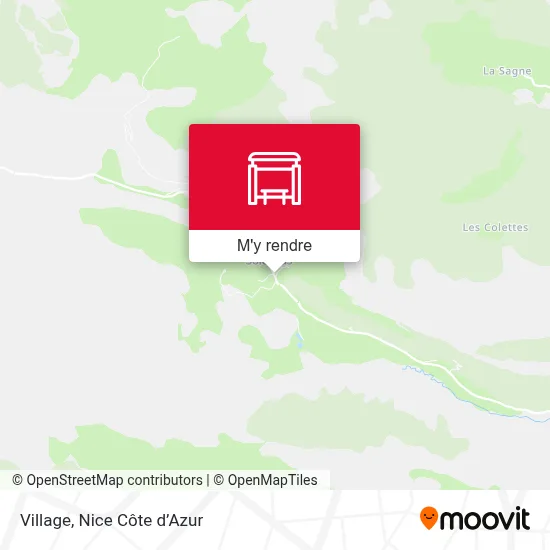 Village plan
