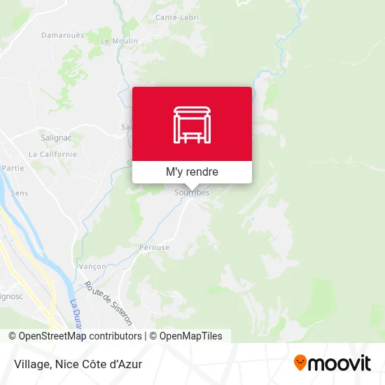 Village plan