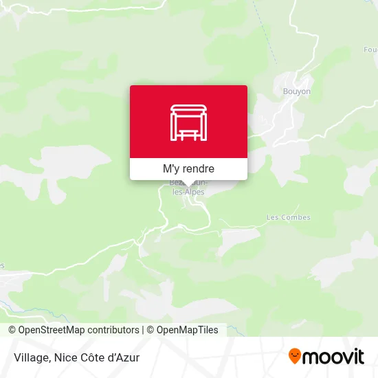 Village plan