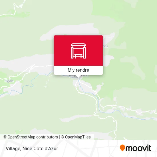 Village plan