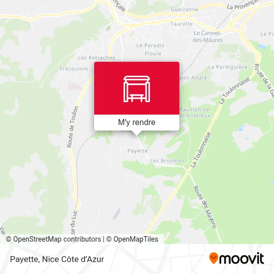 Payette plan