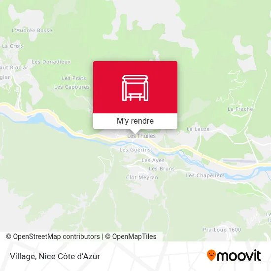Village plan