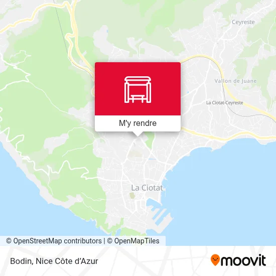 Bodin plan