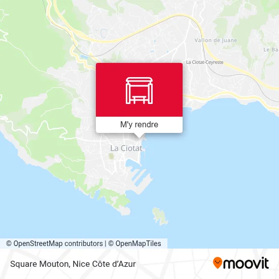 Square Mouton plan