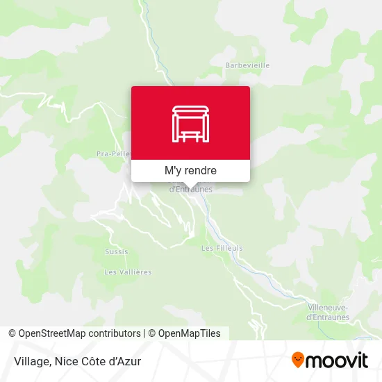 Village plan