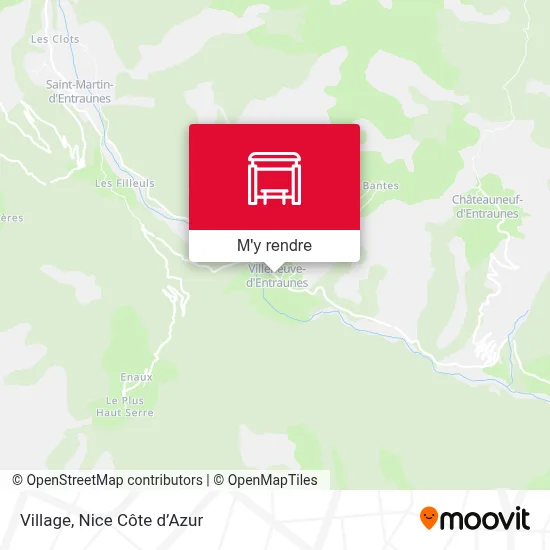 Village plan