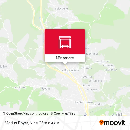 Marius Boyer plan