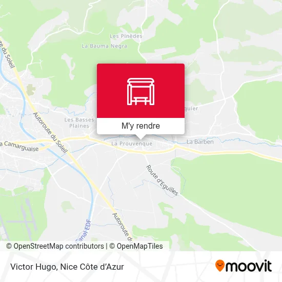 Victor Hugo plan