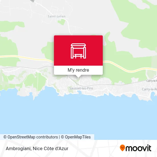Ambrogiani plan