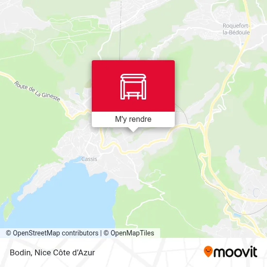 Bodin plan