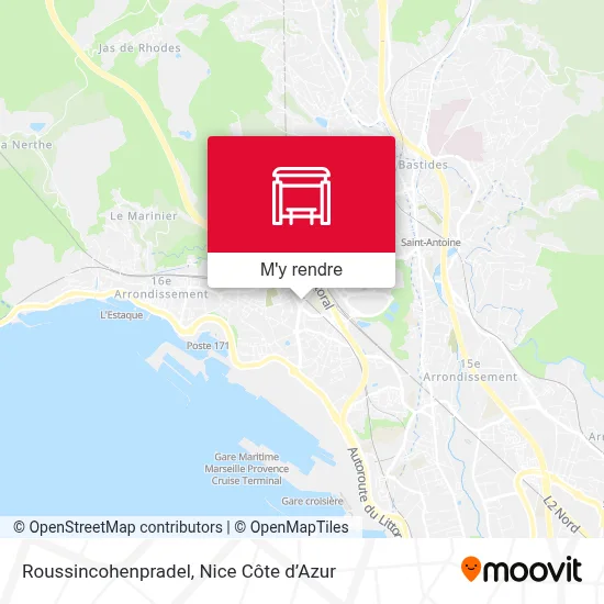 Roussincohenpradel plan