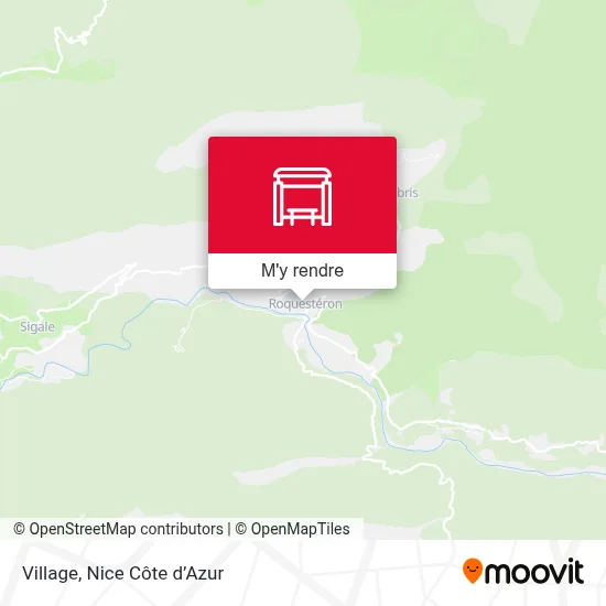 Village plan