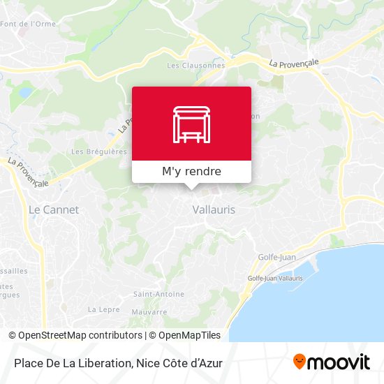 Place De La Liberation plan