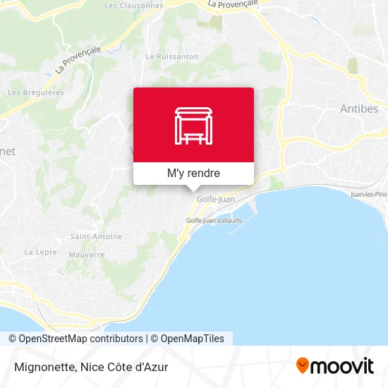 Mignonette plan