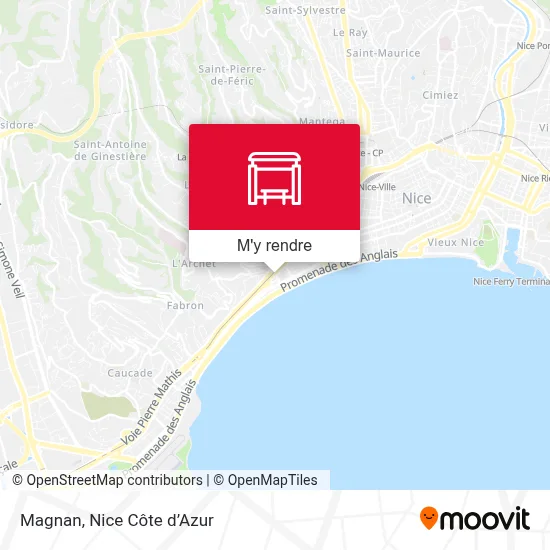 Magnan plan