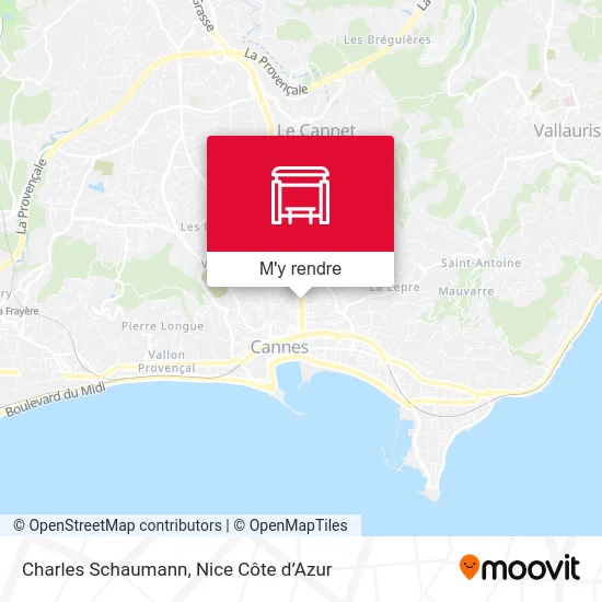 Charles Schaumann plan