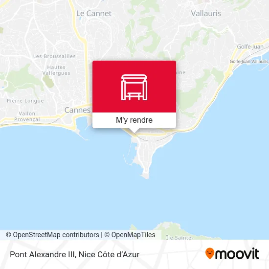 Pont Alexandre III plan