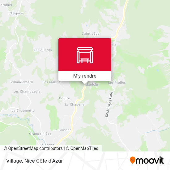 Village plan