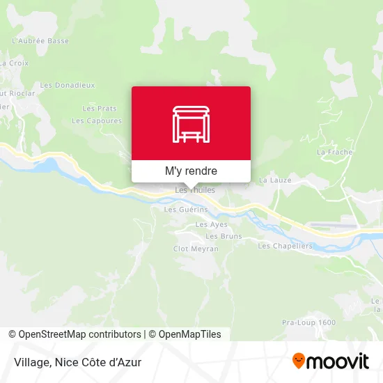 Village plan