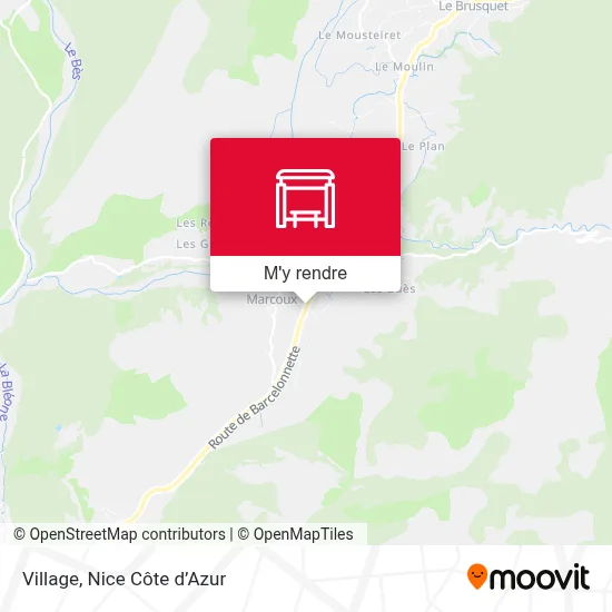 Village plan
