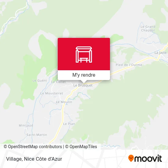 Village plan