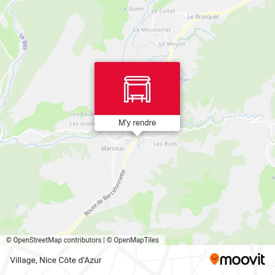Village plan