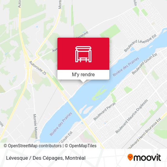 Lévesque / Des Cépages plan