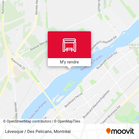 Lévesque / Des Pelicans plan