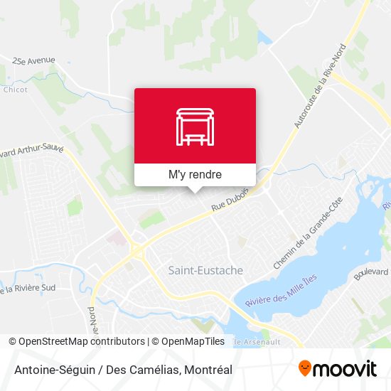 Antoine-Séguin / Des Camélias plan