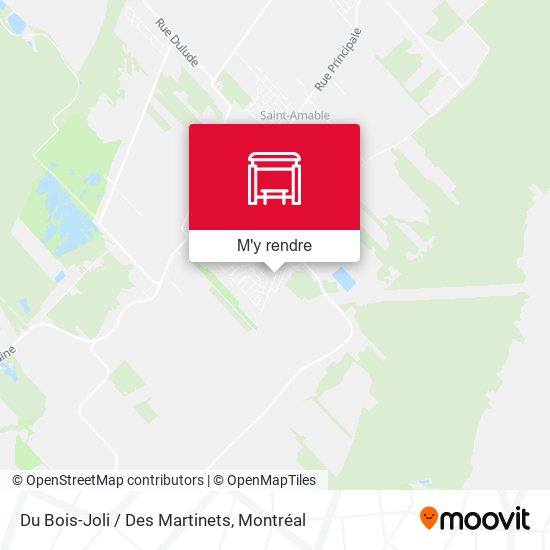 Du Bois-Joli / Des Martinets plan