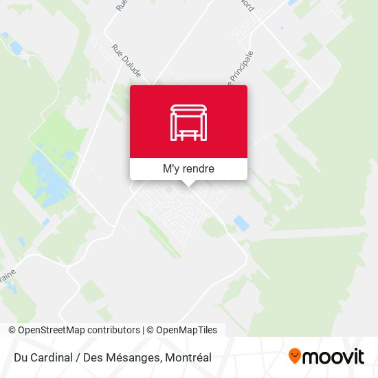 Du Cardinal / Des Mésanges plan