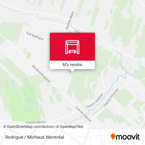 Rodrigue / Michaud plan