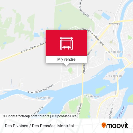 Des Pivoines / Des Pensées plan
