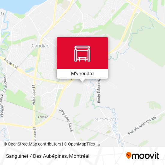 Sanguinet / Des Aubépines plan