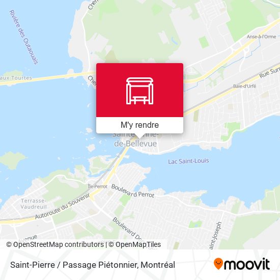 Saint-Pierre / Passage Piétonnier plan