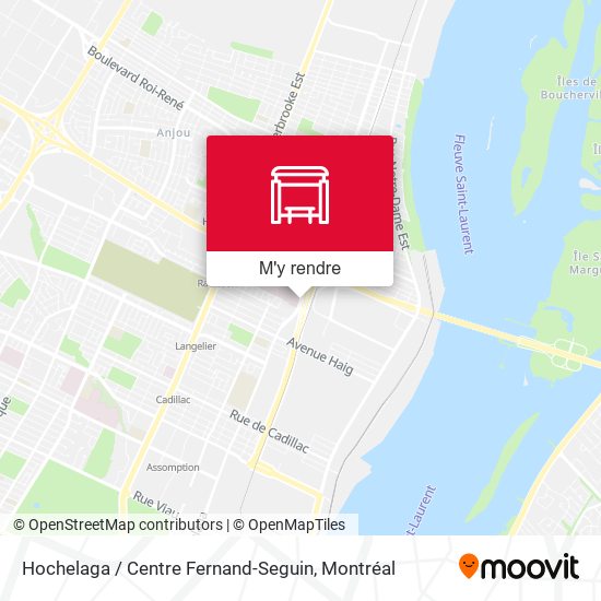Hochelaga / Centre Fernand-Seguin plan