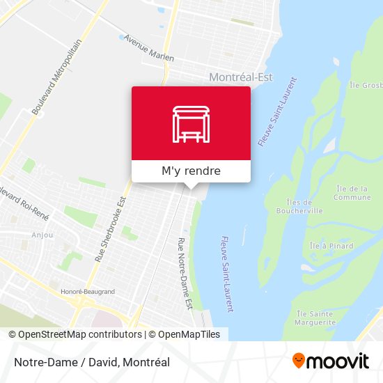 Notre-Dame / David plan