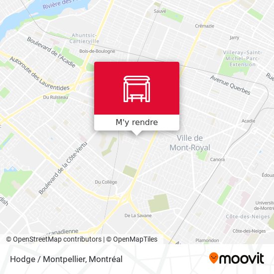 Hodge / Montpellier plan