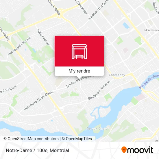 Notre-Dame / 100e plan