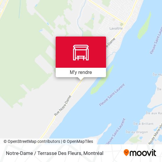 Notre-Dame / Terrasse Des Fleurs plan