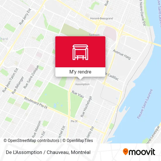 De L'Assomption / Chauveau plan