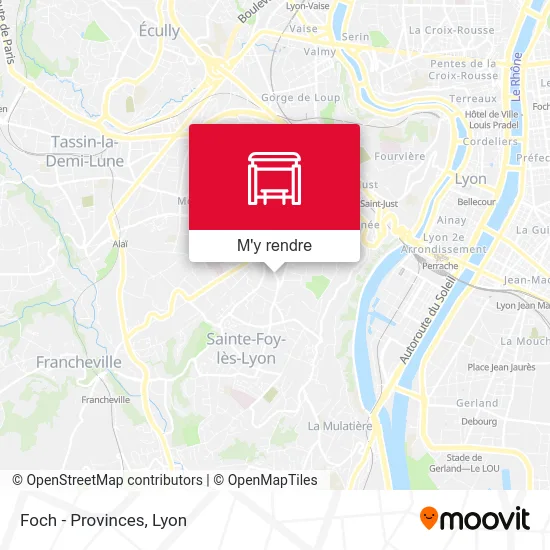 Foch - Provinces plan