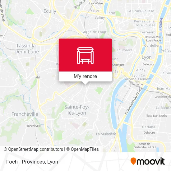 Foch - Provinces plan