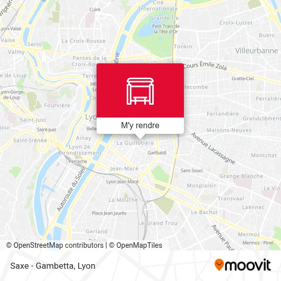 Saxe - Gambetta plan