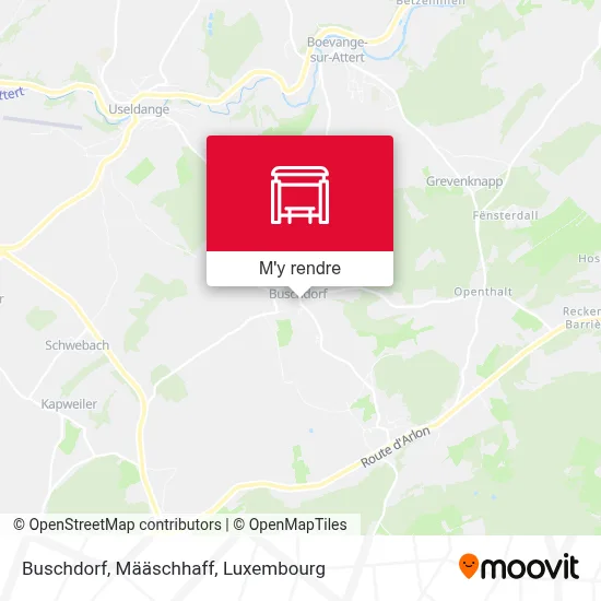 Buschdorf, Määschhaff plan