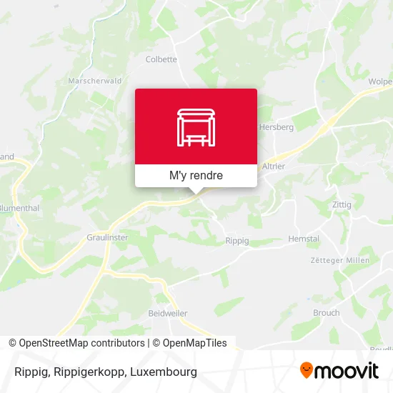 Rippig, Rippigerkopp plan