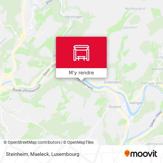 Steinheim, Maeleck plan